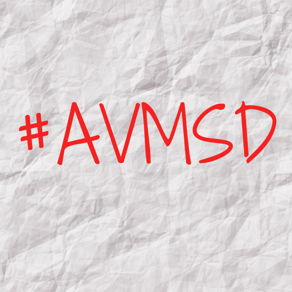 What's new with the Audiovisual Media Services Directive transposition